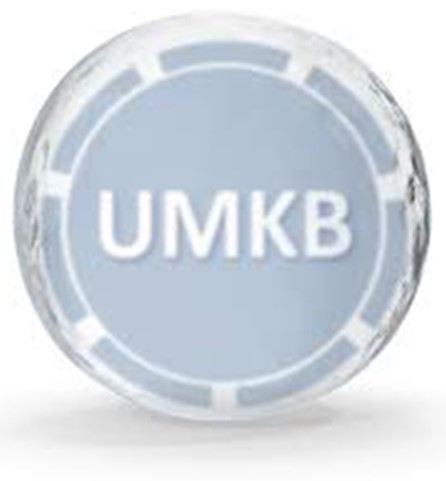 United Medical Knowledge Base - UMKB