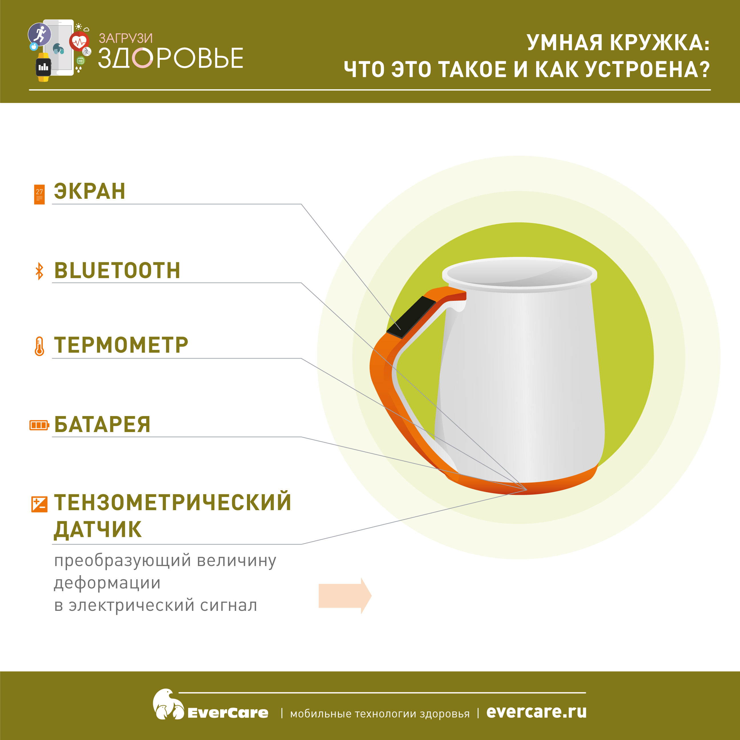 Как работать с модулем Кружки (для руководителя кружка)