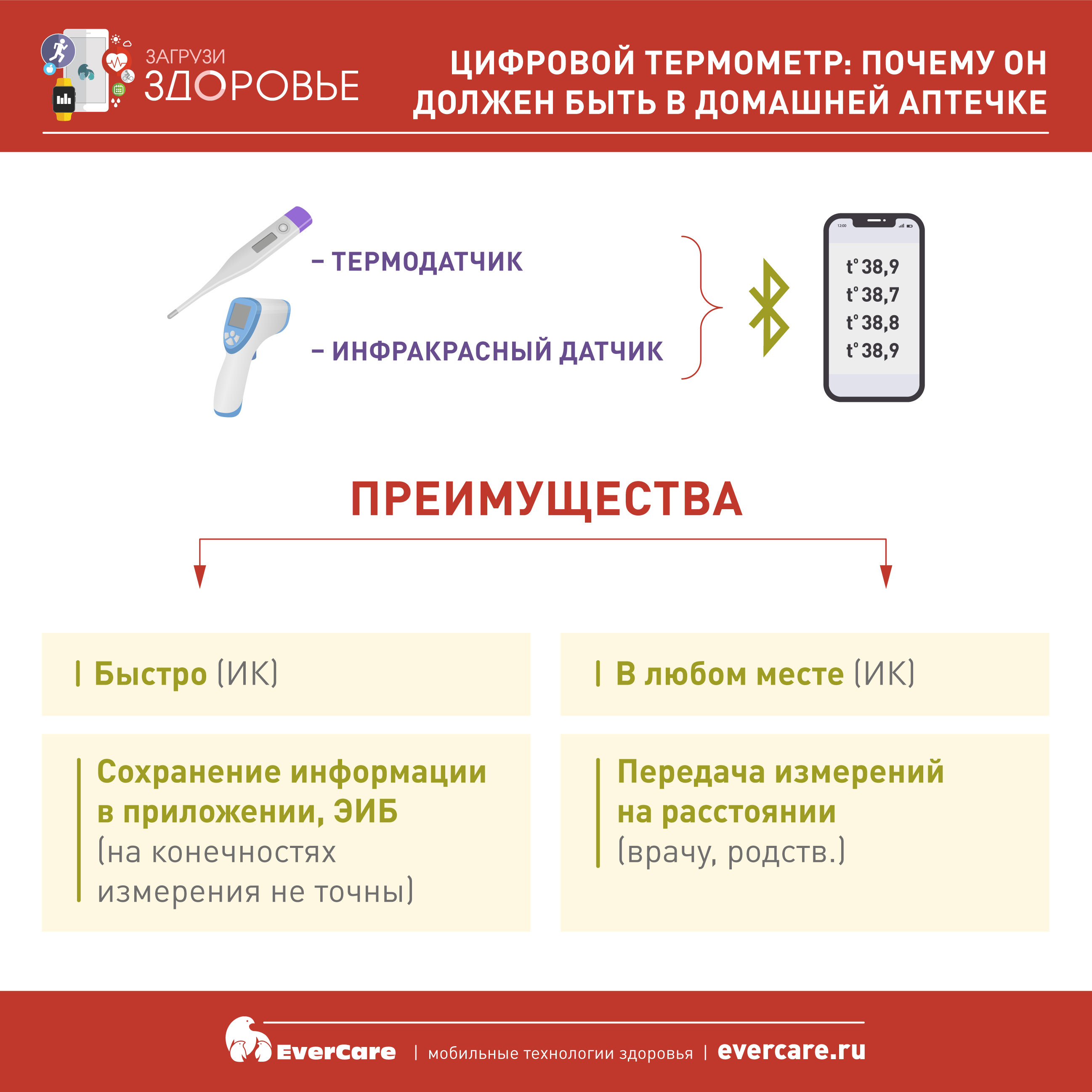 Виды термометров и их предназначение