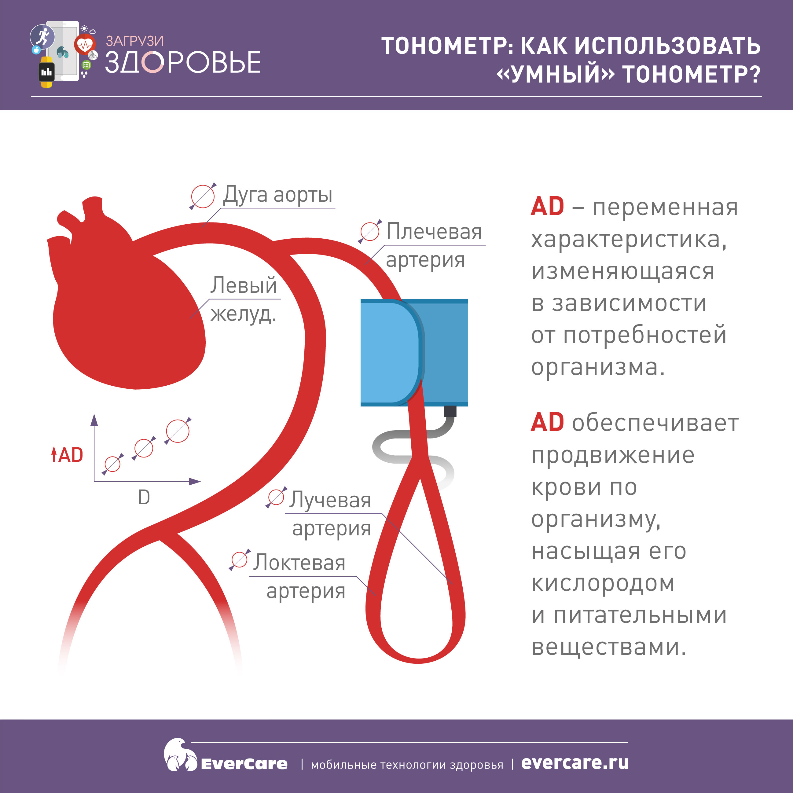 Артериальное давление рисунок