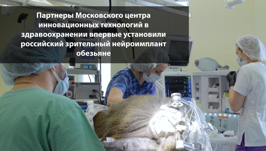 Партнеры Московского центра инновационных технологий в здравоохранении впервые установили российский зрительный нейроимплант обезьяне