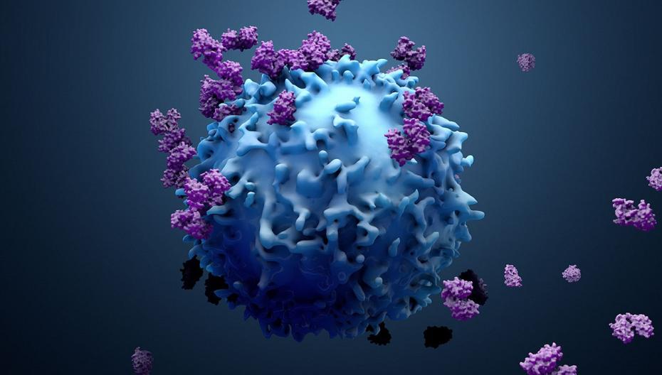 Новая израильская технология улучшает прогнозирование реакции пациентов на иммунотерапию