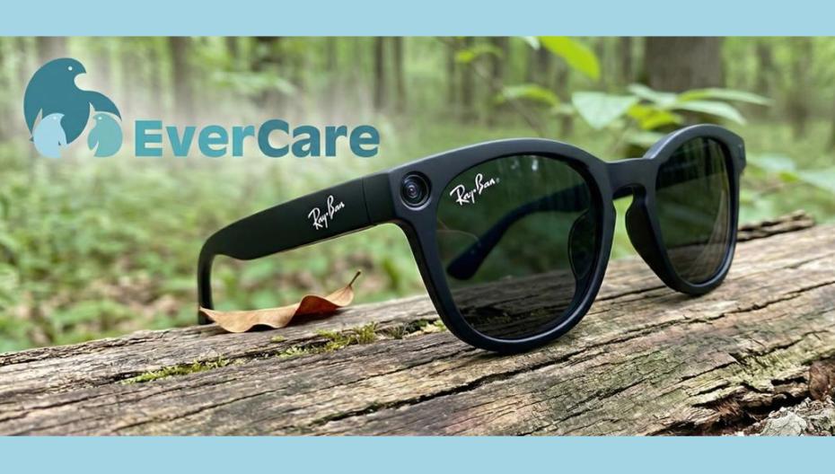 Meta смещает фокус с VR на умные очки и ИИ-технологии