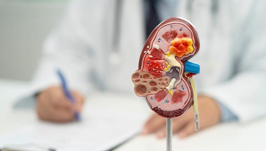 Проверка зрения как ключ к здоровью почек: ИИ-коллаборация AstraZeneca и Aptar