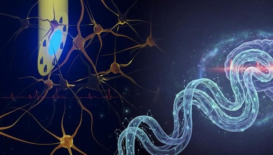 🧠💡 mAxialtrode: нейроимплант 3-в-1 