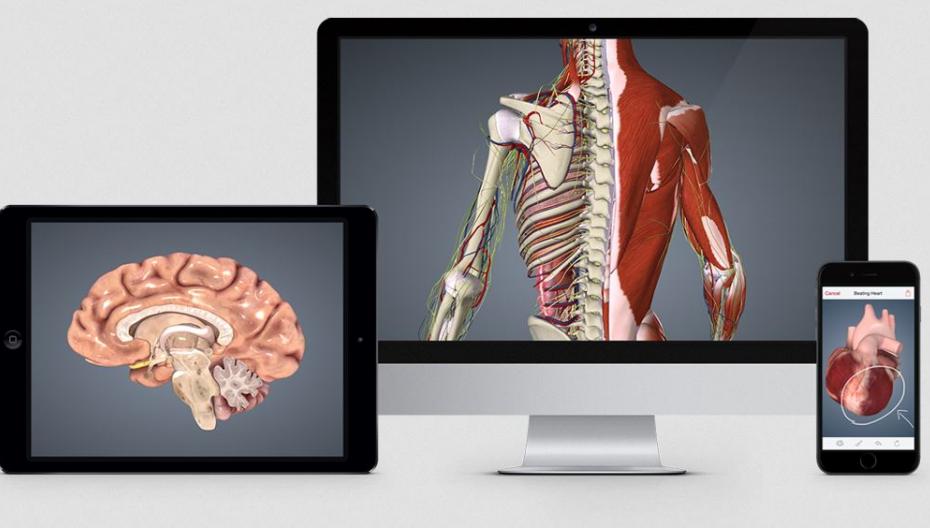BioDigital предлагает разработчикам свою 3D-модель человеческого тела