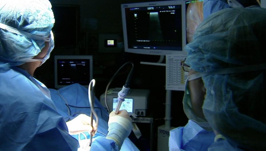 Программная модель движения печени помогает хирургам при операции
