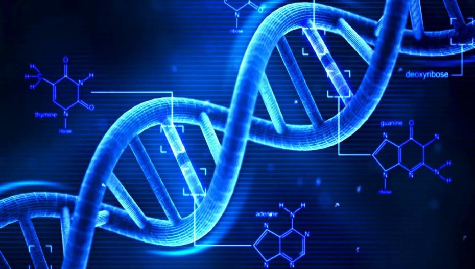Nebula Genomics предлагает бесплатное генетическое тестирование