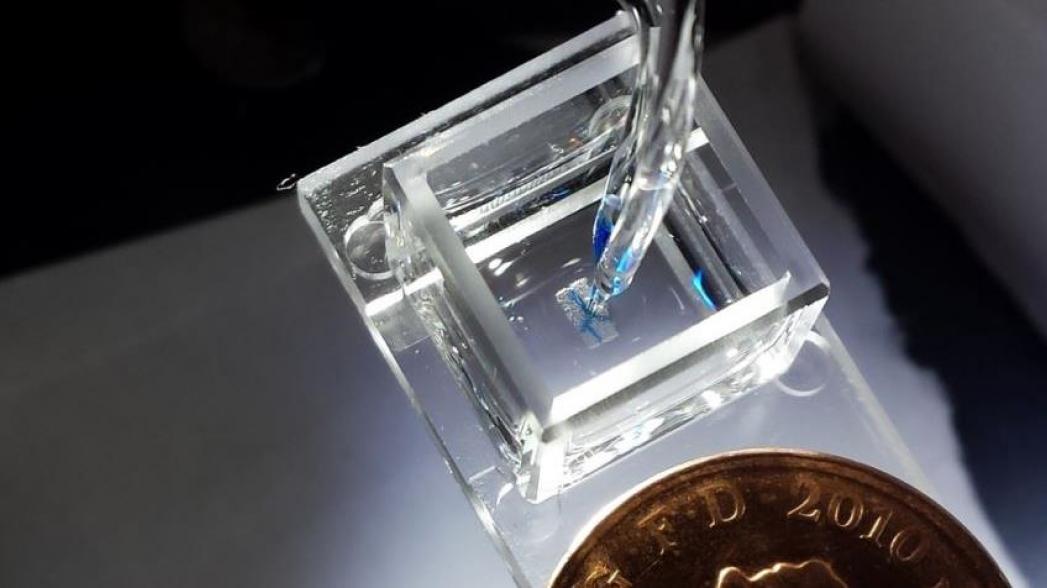 Новый метод 3D-печати живых тканей