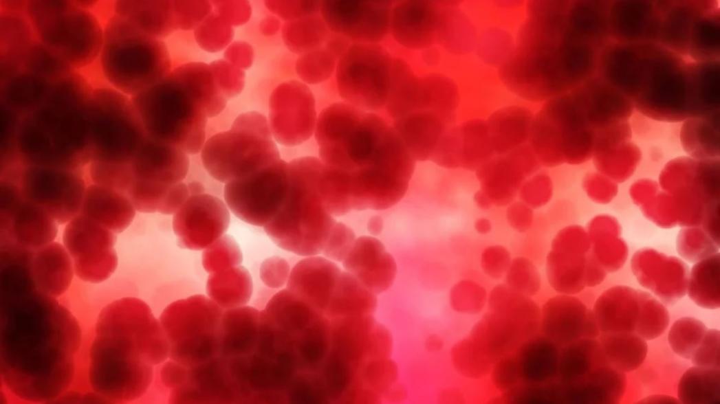Мультираковый анализ крови выдает данные по более чем 20 типам заболеваний