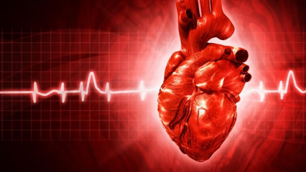 МТС и «Медси» выпустили мобильное приложение для «сердечников»