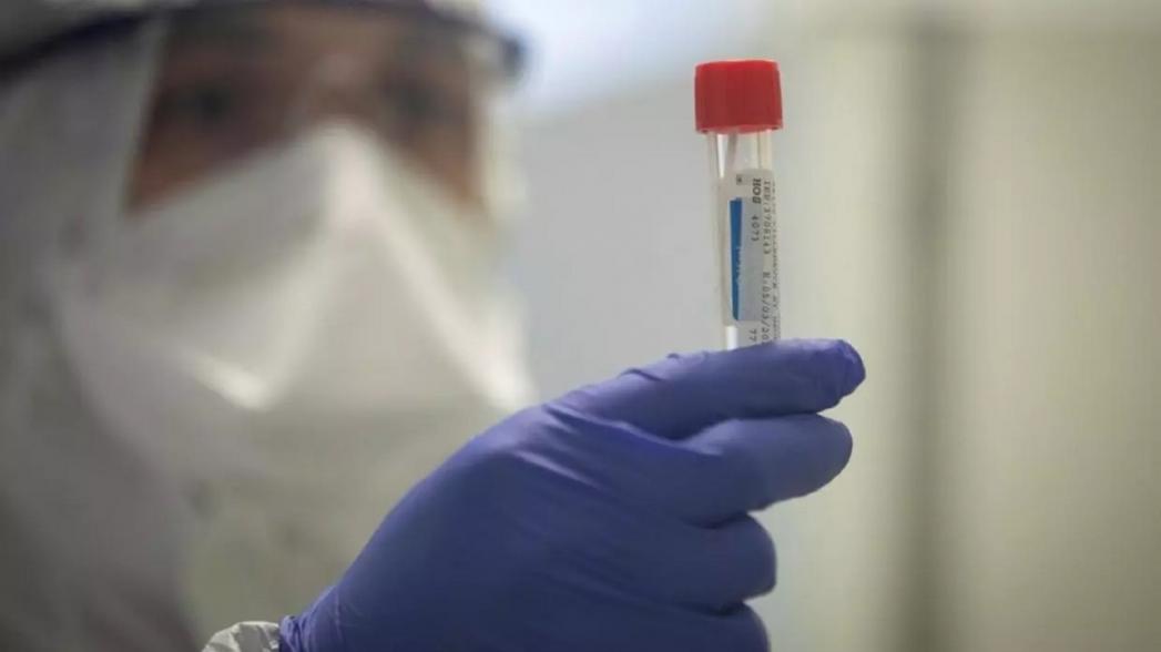 Экспериментальная коронавирусная вакцина взламывает ДНК, чтобы создать иммунитет