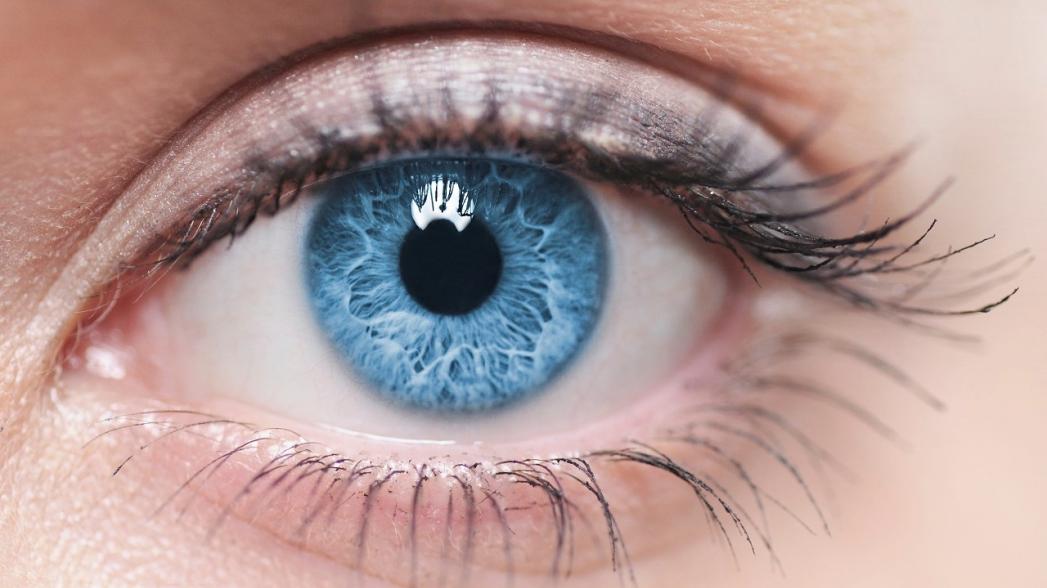 Израильский стартап разработал искусственную роговицу, обещающую вернуть зрение миллионам людей