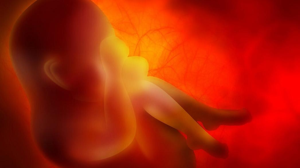 Искусственный интеллект отбирает здоровые эмбрионы для повышения успешности ЭКО