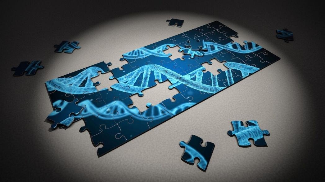 Ученые NVIDIA и Гарвардского университета совершили прорыв в области геномики