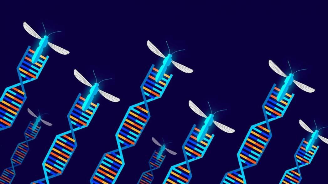"Копировальная машина" для точной генной терапии на основе CRISPR