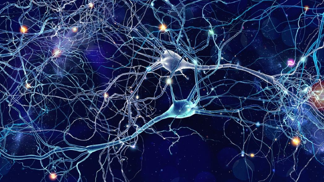 Ученые научились печатать нейроны