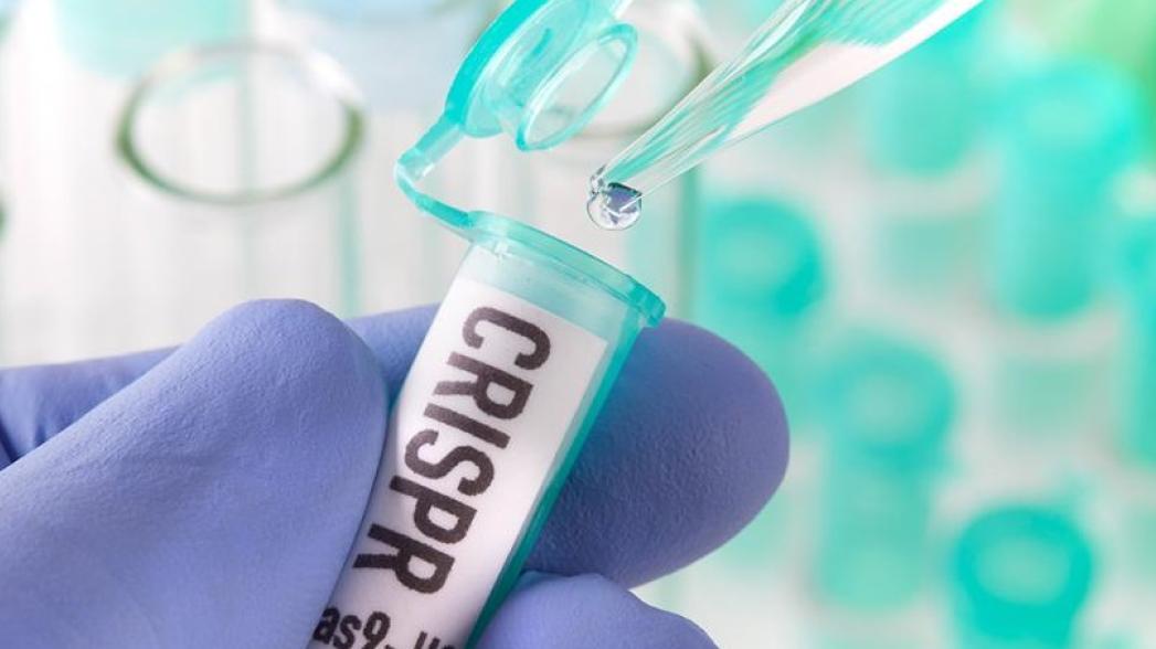 Руки-ножницы: технологиям CRISPR прочат бурное развитие
