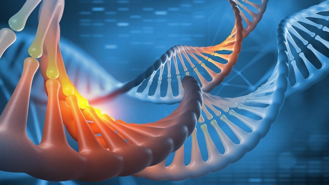 Единый тест на более чем 50 генетических заболеваний позволит сократить время диагностики с десятилетий до нескольких дней