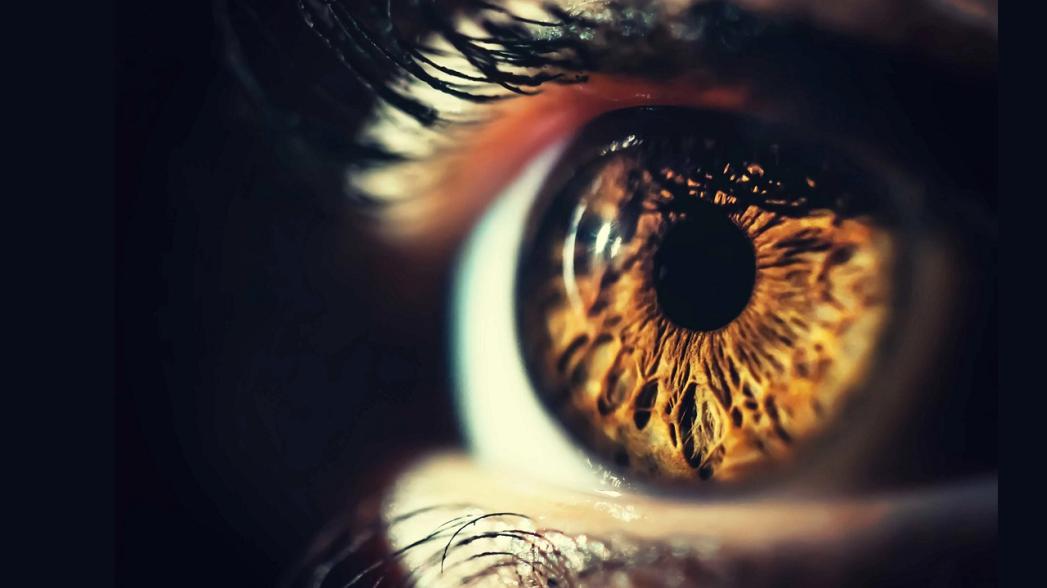 Выявить диабетическую ретинопатию с помощью искусственного интеллекта