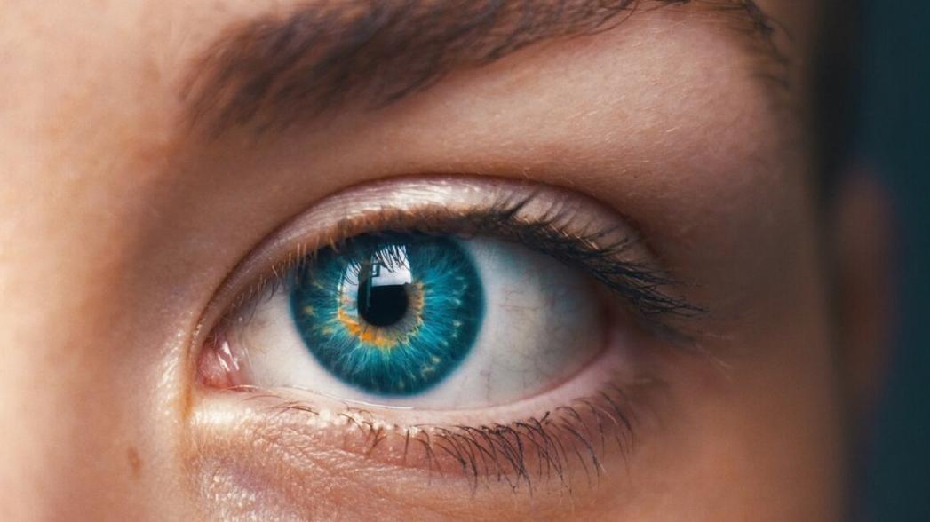 SERI разработал системы анализа фотографий глаз для скрининга заболеваний почек и прогнозирования возраста