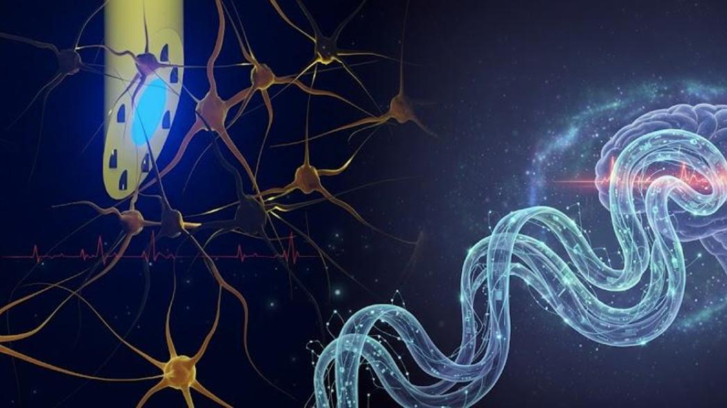 🧠💡 mAxialtrode: нейроимплант 3-в-1 
