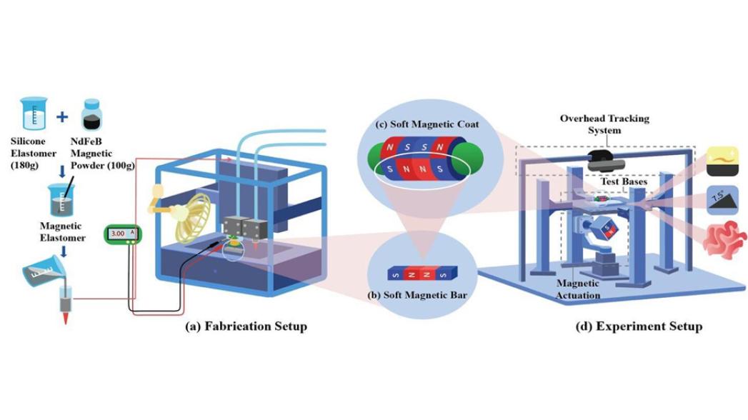  Проглатываемая капсула-робот