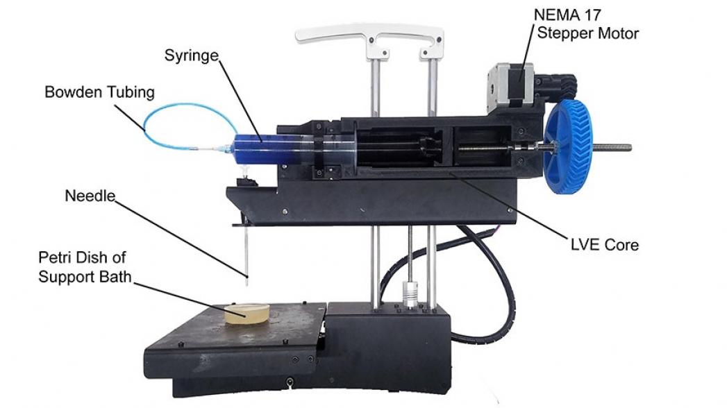 Инструкция, как превратить 3D-принтер в биопринтер